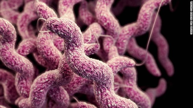 Drug-resistant Campylobacter