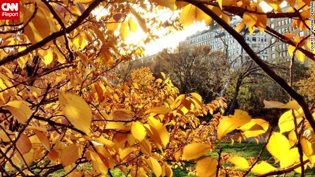 Is there anything like <a href='http://ireport.cnn.com/docs/DOC-883214'>autumn in New York</a>? In Central Park, "the sun lit all the fall leaves on fire with its late-afternoon brilliance," said Thomas Denman.