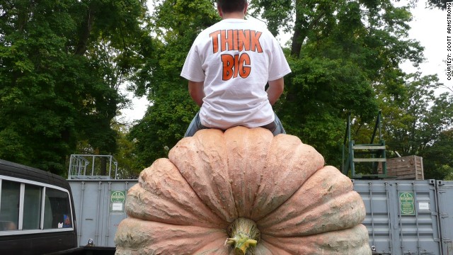 Good gourd! The art of growing giant pumpkins
