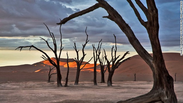 The desert is home to fossilized trees, thought to be over 900 years old.