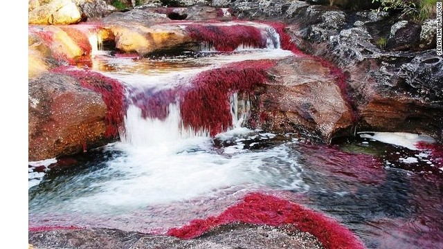 Known as "the river that ran away from paradise," the Caño Cristales in central Colombia is often considered the most beautiful river in the world.
During the summer months, when the heat helps resident algae colonies to grow and multiply, the river explodes in a multi-hued array of colors worthy of a thousand photographs. 