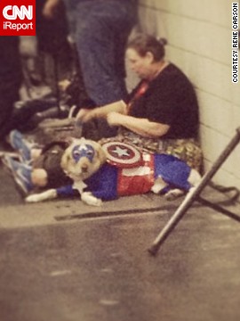 And this<a href='http://instagram.com/p/fXwPJTQot1/' > canine Captain America</a> is taking a little break.