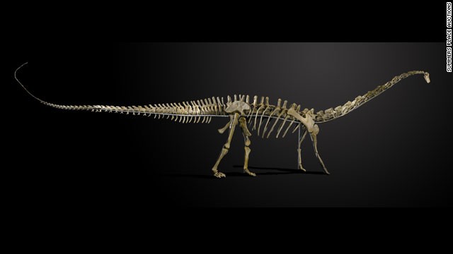 Es en serio: un dinosaurio 'Diplodocus longus' está a la venta