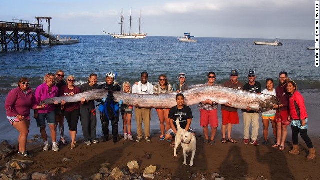 Hallan un pez remo de más de cinco metros de largo en California