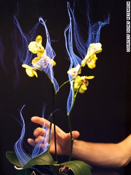 What will the future of touch look like? With haptic technology, which could be described as the science of touch, users have a physical experience, making the technology more interactive. This will revolutionize the gaming experience but also be useful in medicine and every-day life. How about plants that can interpret how you touch them? 