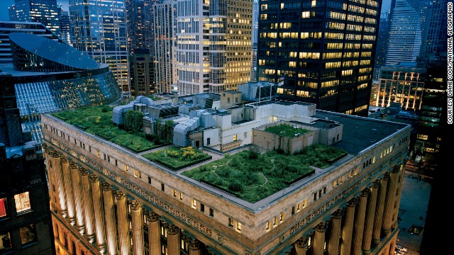 Diane Cook photographed Chicago City Hall's award-winning green rooftop. "I thought 'We're going to reveal a secret landscape to people.' And it is really magical," she said.