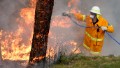 A firefighter hoses a tree, working to contain fires in a resident's backyard at Faulconbridge in the Blue Mountains on October 22, 2013.
