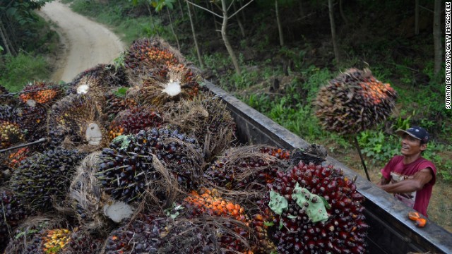 A worker loads harvested palm oil fruits on a palm oil plantation in Indonesia's Aceh province in July.