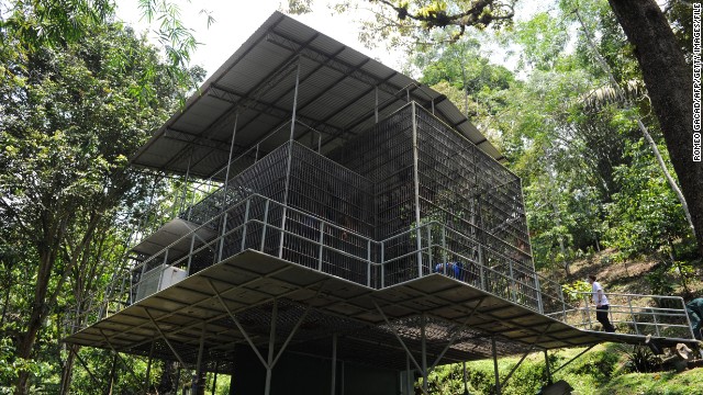 A socialization cage gets inspected at the Sumatran Orangutan Conservation Programme in April before some Sumatran orangutans are reintroduced into forests.