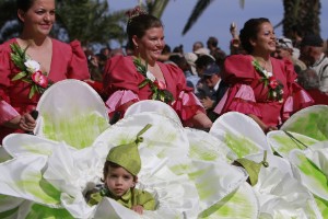 Festival de las Flores de Madeira, Portugal