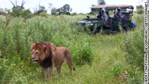 African safaris showcase the best reasons to travel with a group -- companionship, safety, access to restricted areas and incredible experiences.