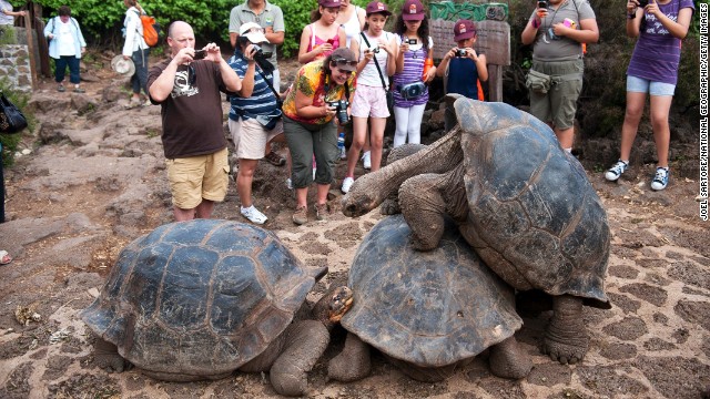 While independent travel is great, many places in the world can't be accessed by solo travelers due to license and government restrictions. Many big destinations, such the Galapagos (pictured) and Antarctica, need to be explored as part of organized trips.