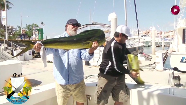 Sea lion snags trophy fish during photo op - CNN.com Video