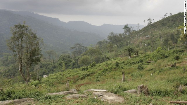 Felled trees lie on the mountainside just outside Freetown. African countries account for 14 of the 20 most at-risk nations.