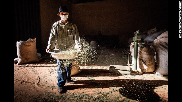 This Cooperative in Paraguay is helping farmers improve their production of lemon verbena and lemongrass.