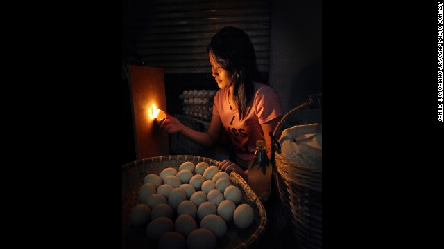 A vendor sorts duck eggs that have been fertilized or are developing duck embryos to be cooked. The eggs are then used in popular foods that are sold as street food. 