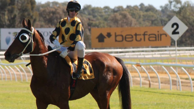 In a bid to stop the rot towards the end of his career, he was paired with two-time Melbourne Cup-winning jockey Glen Boss in a bid to buck that trend.