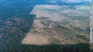 The area cleared of trees stops at the border of a reservation in northern Brazil. 