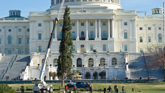 U.S. Capitol Christmas Tree arrives at the West Front