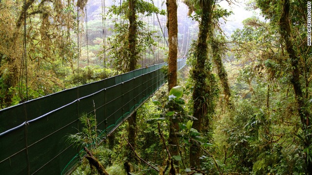 A visit to the Monteverde Cloud Forest Reserve is part of a New Year's holiday tour to Costa Rica, where you can explore the beauty of this lovely country. 