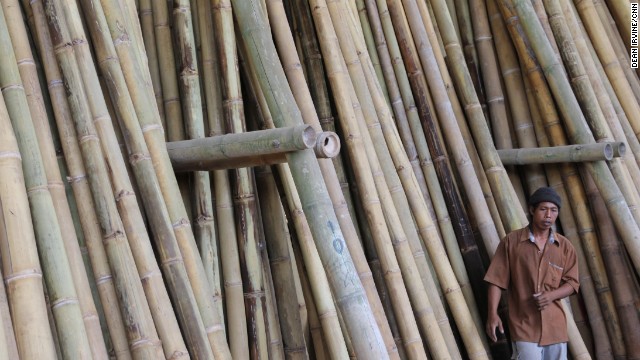 Around 200 farmers across Bali are paid to grow bamboo on areas of their land not used for agriculture. Some of the largest logs are 25 meters long but only take 3 years to grow. 