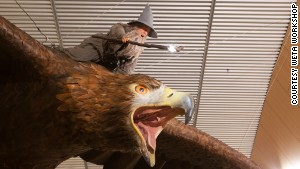 The two eagles in Wellington International Airport each weigh approximately one ton, and have a wingspan of 15 feet. 