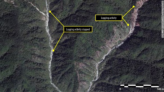 An image from September 2013 shows that logging activities have been ongoing over a two year period.