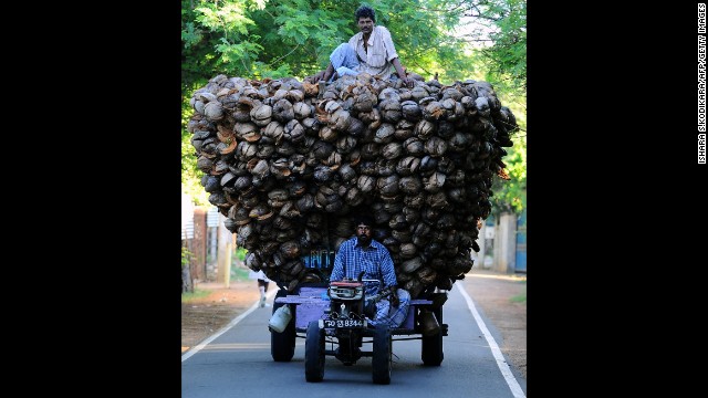 <strong>November 18:</strong> Tamil farmers transport coconut husks in Jaffna, Sri Lanka.