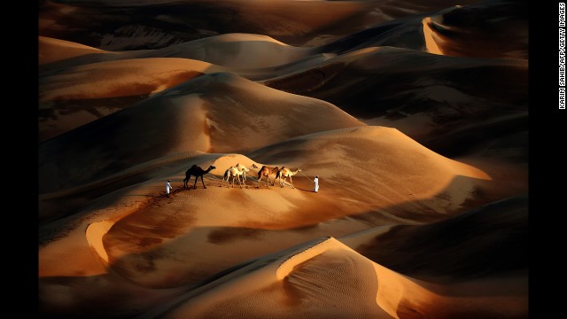 <strong>November 23:</strong> Tribesmen lead their camels through the sand dunes of the Liwa desert in Abu Dhabi, United Arab Emirates.