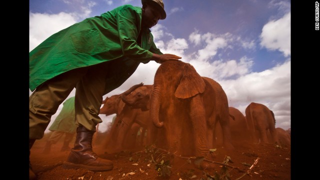 <strong>June 5:</strong> Ajabu, a 2-month-old orphaned baby elephant, is given a dust bath after being fed at an event to mark World Environment Day in Nairobi, Kenya.