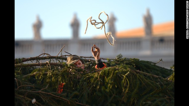 Workers at the Vatican set up the traditional Christmas tree in St. Peter's Square on December 5.