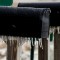131207214040-09-weather-kentucky-topics.jpg