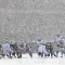 131208232639-football-snow-1208-topics.jpg