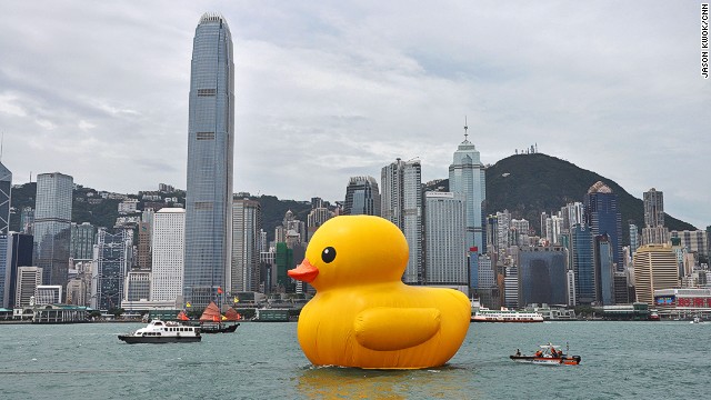 131216120419-outrageous-travel-stories-of-2013-duck-horizontal-gallery.jpg