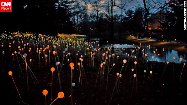 This beautiful "Field of Lights", by artist <a href='http://www.brucemunro.co.uk/' target='_blank'>Bruce Munro</a>, can be found in Pennsylvania's <a href='http://longwoodgardens.org/' target='_blank'>Longwood Gardens</a>, who have an annual Christmas display. Mickey Raine and his wife Elaine count themselves lucky to be living close to it, "it's hard to fathom anyone loving the Christmas festivities each year there as much as we do," Mickey said.