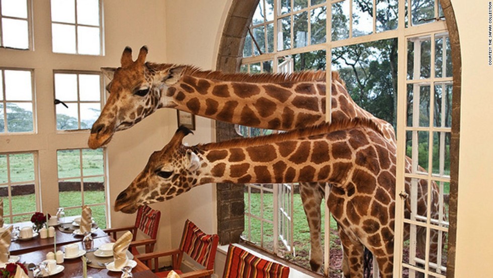 Giraffe Manor (Kenia)