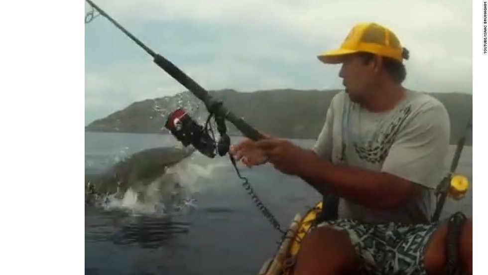 ¡Un tiburón intenta quitarle a un pescador lo que atrapó!