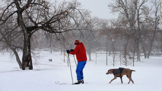 With his dog in tow, a man skis across heavy snow in Humboldt Park on January 2.