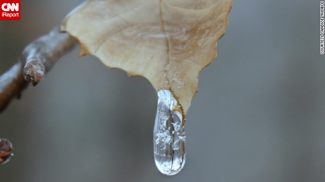 Nature photographer Candice Trimble bundled up in layers to snap some shots of the frozen conditions outside her home in Front Royal, Virginia, on Sunday, January 5. She watched this water hit the leaf and then completely freeze.