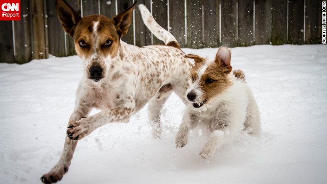 A little snow won't stop these two from enjoying a run in northeast Ohio on January 6. 