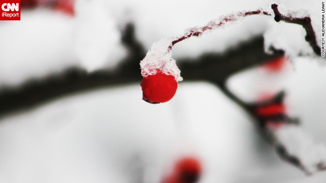 Alexandra Leahy ventured outside her apartment complex in Carmel, Indiana, on January 5 to photograph the snowy landscape. "The snow is very white, very glistening, and stuck to everything," she said. 