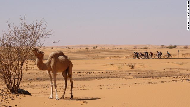  140114171811-camel-a
