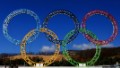 The Olympic Rings stand outside of Sochi International Airport on January 8, 2014 in Alder, Russia. The region will host the Sochi 2014 Winter Olympics which start on February 6th, 2014.