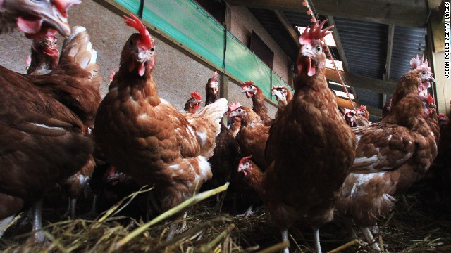 <strong>December 11, 2013:</strong> The FDA <a href='http://www.cnn.com/2013/12/11/health/fda-antibiotics-farms/'>announces</a> it wants to phase out the use of certain antibiotics in food-producing animals.