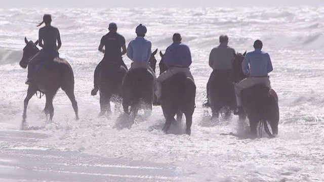 It's all about giving the horses what they need, he says, whether it's splashing around in the waves or pottering around in paddocks with their mates. 