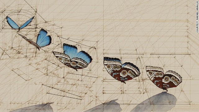 Detail of the butterflies which take flight amid a web of lines and helixes. 