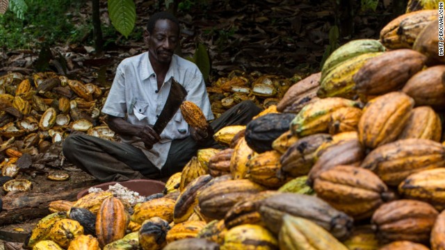 Cocoa-nomics: Faces of the cocoa industry