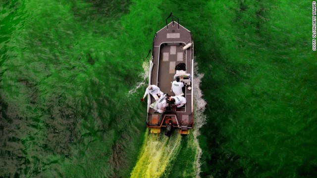 Every year since 1961, the downtown section of the Chicago River has been dyed green to celebrate St. Patrick's Day. 