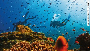 Tracts of the world\'s largest reef system are in danger. 