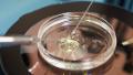 Tech shows embryo development 